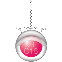 Reverse phase chromatography molecule